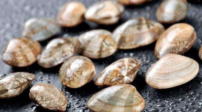 中国台湾祖籍是山东的艺人有不少造成这一现象背后的原因是什么(图1) 中国台湾祖籍是山东的艺人有不少造成这一现象背后的原因是什么