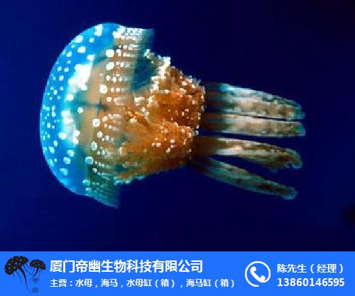 凝聚校友力量 赓续协和精神 ——北京协和医学院校友会山东座谈会在青岛大学附属烟台毓璜顶医院举行(图1) 凝聚校友力量 赓续协和精神 ——北京协和医学院校友会山东校友座谈会在青岛大学附属烟台毓璜顶医院举行