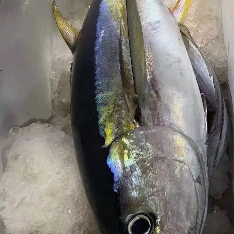 “逛在瓷都 食在宝龙”全城美食狂欢引爆瓷都宝龙广场餐饮再升级(图1) “逛在瓷都 食在宝龙”全城美食狂欢引爆瓷都宝龙广场餐饮再升级