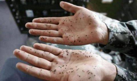 密集恐惧症别看图一祈祷健康长寿请点赞图五图六通天河神龟。(图1) 密集恐惧症别看图一祈祷健康长寿请点赞图五图六通天河神龟。