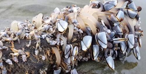 原来徐婷已逝世！26岁全身腐烂不治身亡被全家8口吸血多年