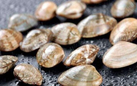 儒商汇智启新程 深蓝逐梦谱华章(图1) 儒商汇智启新程 深蓝逐梦谱华章