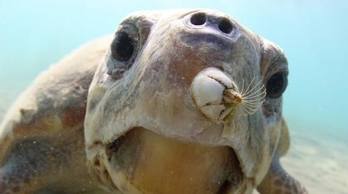 2021鲸犀产业数字峰会(图1) 2021鲸犀产业数字峰会