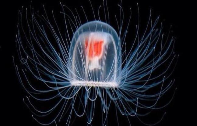 美白去黄牙膏怎么选？2025年度10款去渍去黑+口气清新口碑推荐