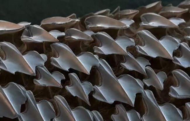 【蓝鳍雅集】京华绽彩 心海农业集团深远海产业耀世启航(图1) 【蓝鳍雅集】京华绽彩 心海农业集团深远海产业耀世启航