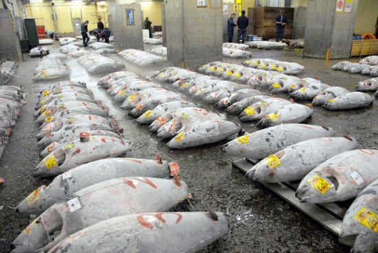 克罗地亚地区_专注食品行业推动食品安全_食品资讯中心_食品伙伴网