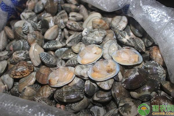 2026年·(万科中兴傲舍售楼处) 首页网站 - 销售中心 -环境 - 户型 - 价格 - 地址 - 楼盘详情 - 配套 - 电话 - 交房时间 - 配套 - 电话 - 交房时间